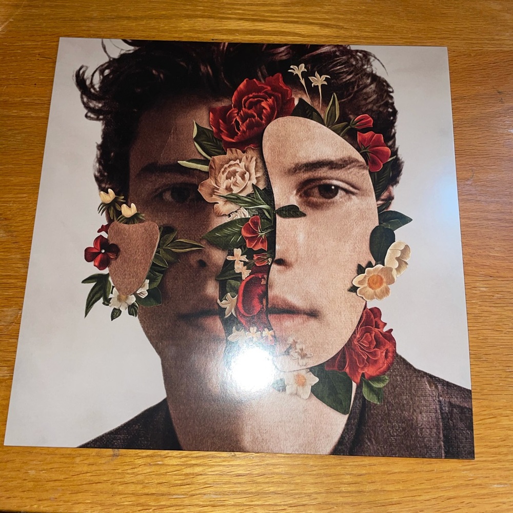 Shawn Mendes Record
